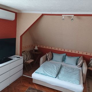 Tiszafa Apartman Abádszalók (5)