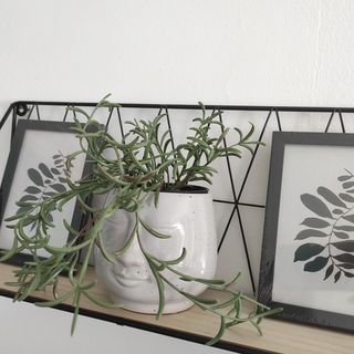 Apartmani Bucića Dvori Starigrad (4)