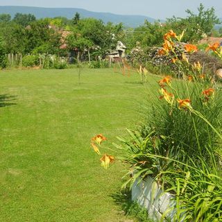 Hóvirág Tetőtéri Apartman Szigliget (2)