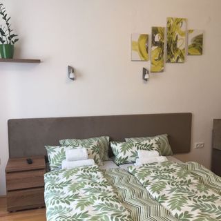 Weninger Stúdió Apartman Kiskunhalas (3)