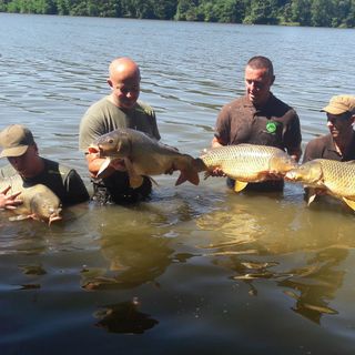 Horgász Apartman Deseda Kaposvár (4)