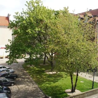 Hostel BiPi Gdańsk (5)