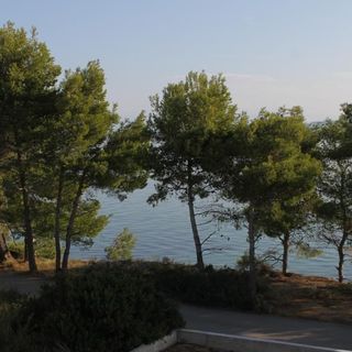 Apartmani Rade Tkon (4)