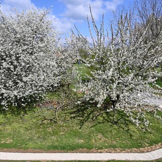 Jázmin Vendégház és Apartman Pogány (3)