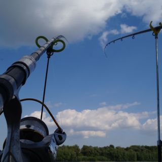 Jó Fogás Vendégház Dunaszekcső (3)