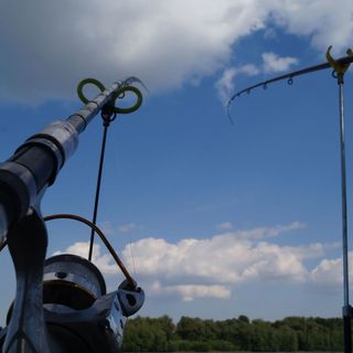 Jó Fogás Vendégház Dunaszekcső (3)