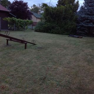 Szegfű Vendégház Jászapáti (2)