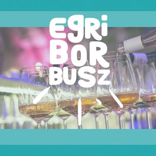 Borostyán Vendégház Eger (4)