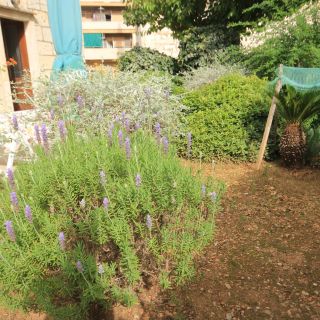 Apartments By The Sea Vis - 1170 (5)
