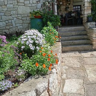 Apartmanok Parkolóhellyel Liznjan, Medulin - 11152 Ližnjan (3)