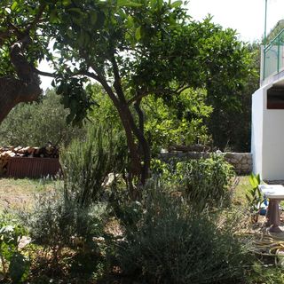 Apartmanok és Szobák Parkolóhellyel Gradac, Makarska - 6819 Gradac (4)