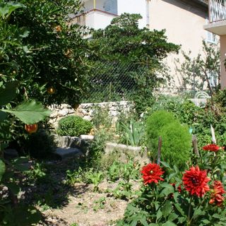 Apartmanok A Tenger Mellett Omis - 771 Omiš (5)