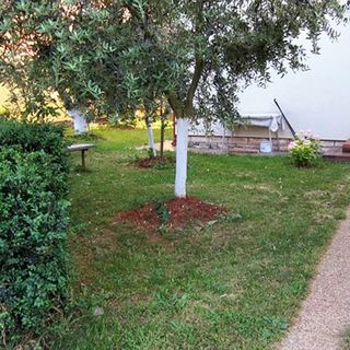 Apartmanok Parkolóhellyel Umag - 6994 (5)