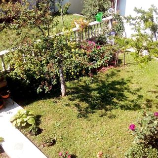 Apartmanok Parkolóhellyel Senj - 7475 (5)