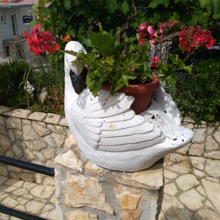 Apartmanok Parkolóhellyel Crikvenica - 12657 (4)