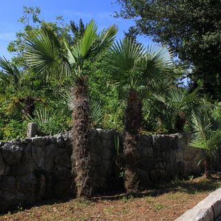 Apartmanok Parkolóhellyel Lovran, Opátia - Opatija - 7713 Lovran (5)