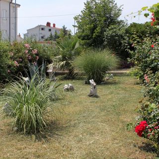 Apartmanok Parkolóhellyel Novi Vinodolski - 5600 (3)