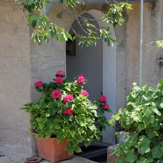 Apartmanok Parkolóhellyel Novi Vinodolski - 5600 (5)