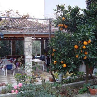 Apartmanok A Tenger Mellett Sladenovici, Dubrovnik - 11531 Slađenovići (5)