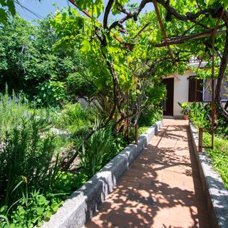 Apartmanok A Tenger Mellett Barbat, Rab - 4977 Barbat (4)