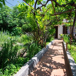 Apartmanok A Tenger Mellett Barbat, Rab - 4977 Barbat (4)