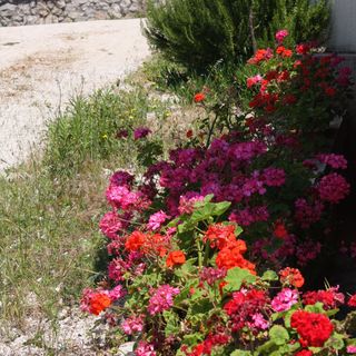 Apartmanok A Tenger Mellett Jezera, Murter - 5120 Jezera (5)