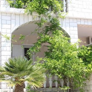 Apartmanok A Tenger Mellett Stara Novalja, Pag - 6469 Stara Novalja (5)