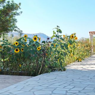 Apartmanok Parkolóhellyel Pag - 11358 (5)