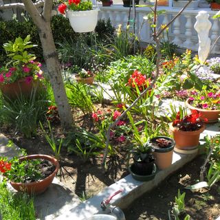 Apartmanok A Tenger Mellett Kozino, Zadar - 11169 Kožino (5)