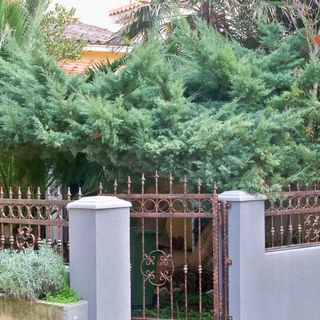 Apartmanok A Tenger Mellett Novalja, Pag - 11512 Novalja (3)