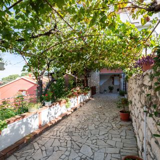 Apartmanok A Tenger Mellett Kampor, Rab - 5056 Kampor (5)