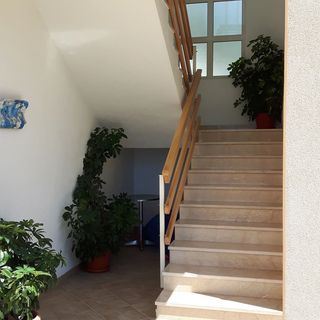 Apartmanok Parkolóhellyel Makarska - 6850 (4)