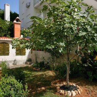 Apartmanok Parkolóhellyel Nemira, Omis - 4652 Nemira (4)