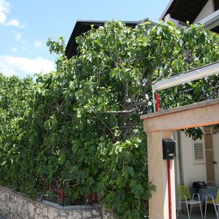 Apartmanok Parkolóhellyel Vodice - 12721 (4)