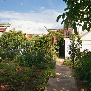 Apartmanok Parkolóhellyel Jezera, Murter - 5093 Jezera (5)