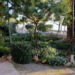 Apartmanok A Tenger Mellett Zadar - Diklo, Zadar - 5925 Zadar - Diklo (4)