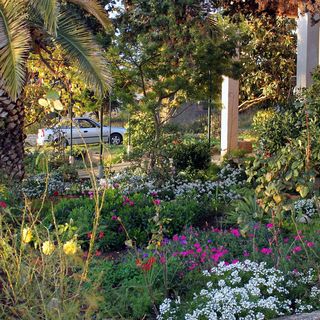 Apartmanok A Tenger Mellett Zadar - Diklo, Zadar - 5925 Zadar - Diklo (5)