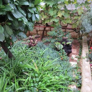 Apartmanok Parkolóhellyel Mastrinka, Ciovo - 2050 Mastrinka (4)