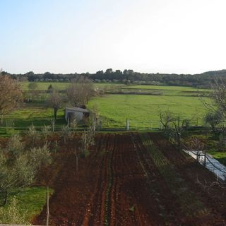 Apartmanok Parkolóhellyel Pula - 7420 (3)