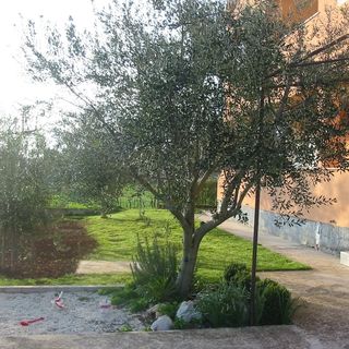 Apartmanok Parkolóhellyel Pula - 7420 (5)