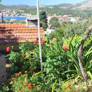 Apartmanok Parkolóhellyel Slano, Dubrovnik - 8540 Slano (4)