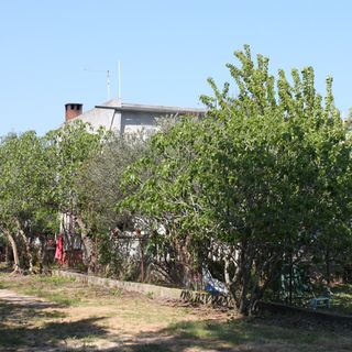 Apartmanok A Tenger Mellett Sukosan, Zadar - 6133 Sukošan (4)