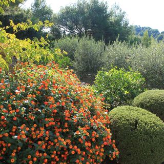 Apartmanok Parkolóhellyel Rukavac, Vis - 8496 Rukavac (5)