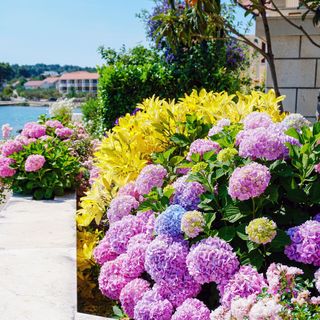 Apartmanok A Tenger Mellett Lumbarda, Korcula - 3554 Lumbarda (5)