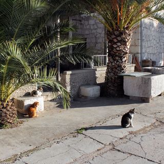 Apartmanok A Tenger Mellett Razanj, Rogoznica - 5945 Ražanj (4)