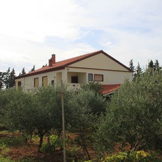 Apartmanok Parkolóhellyel Ugljan - 8479 (5)