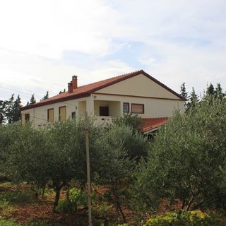 Apartmanok Parkolóhellyel Ugljan - 8479 (5)