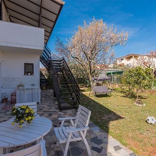 Apartmanok Parkolóhellyel Novigrad - 2536 (5)
