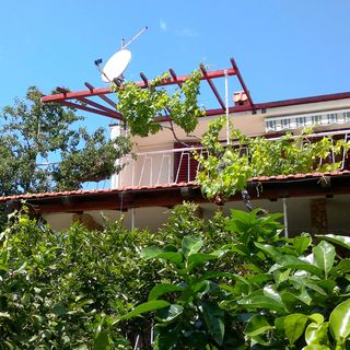 Apartmanok A Tenger Mellett Seget Vranjica, Trogir - 1037 Seget Vranjica (4)