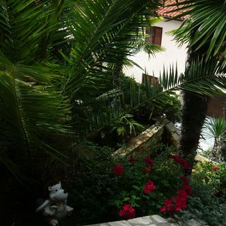 Apartmanok Parkolóhellyel Rabac, Labin - 13151 Rabac (4)